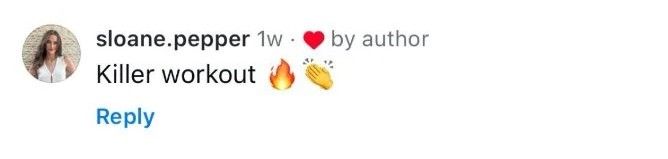 Instagram comment 1
