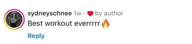 Instagram comment 2
