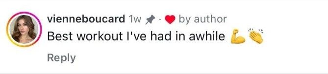 Instagram comment 3